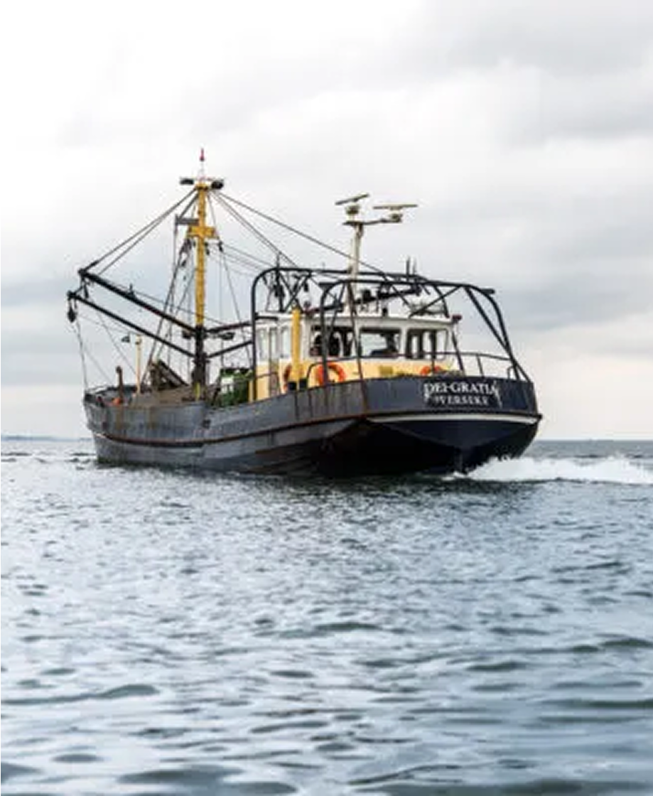Bateau de pêche de poisson Léon